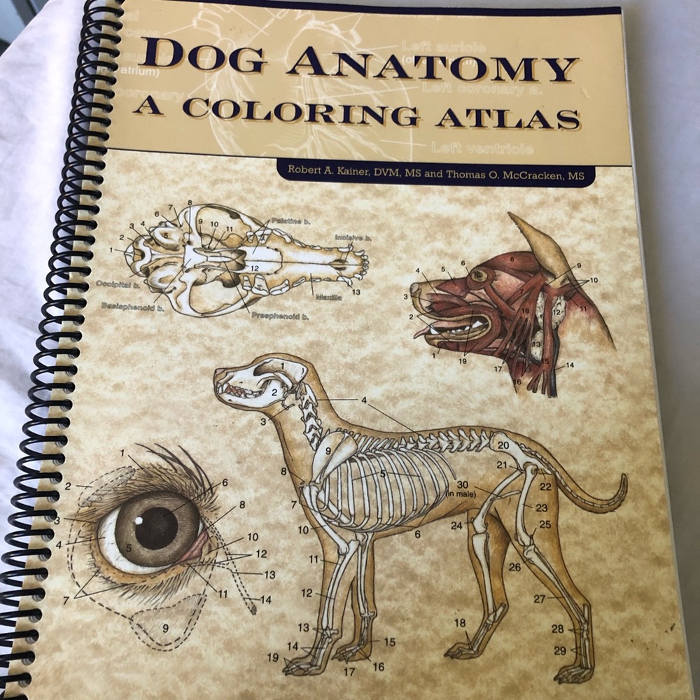 Dog Anatomy A Coloring Atlas, Book by Krainer & McCracken, In EUC